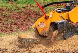 Best Storm Damage Tree Cleanup  in Independence, KY
